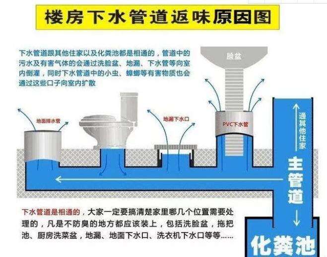 卫生间反味怎么处理？装修牢记“外堵内疏”，暗卫也能住得自在